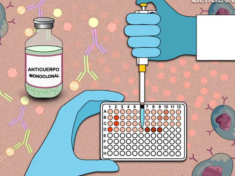 anticuerpos-monoclonales-explicados-la-defensa-artificial-del-cuerpo