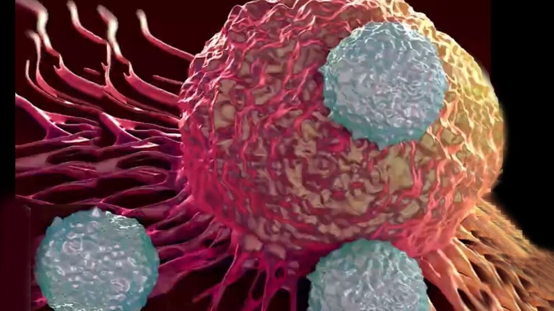 bacterias-modificadas-que-detectan-tumores-en-el-cuerpo