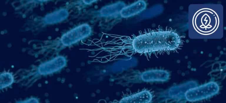 bacterias-que-producen-electricidad-y-su-uso-en-biosensores-medicos