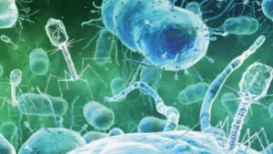 bacteriofagos-la-alternativa-biologica-a-los-antibioticos-modernos