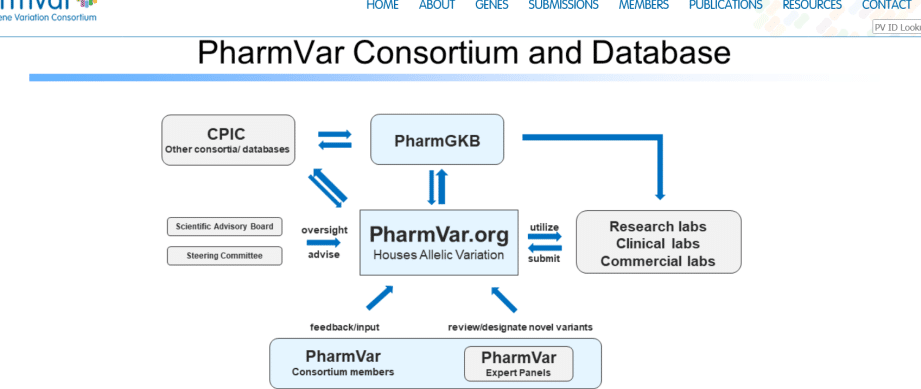 base-de-datos-pharmgkb-el-recurso-global-de-farmacogenomica