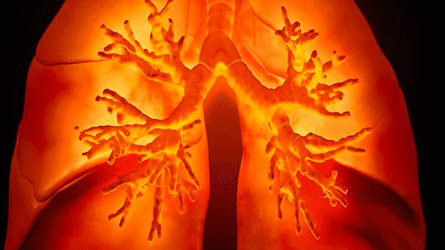 bioingenieria-de-pulmones-el-reto-de-la-oxigenacion