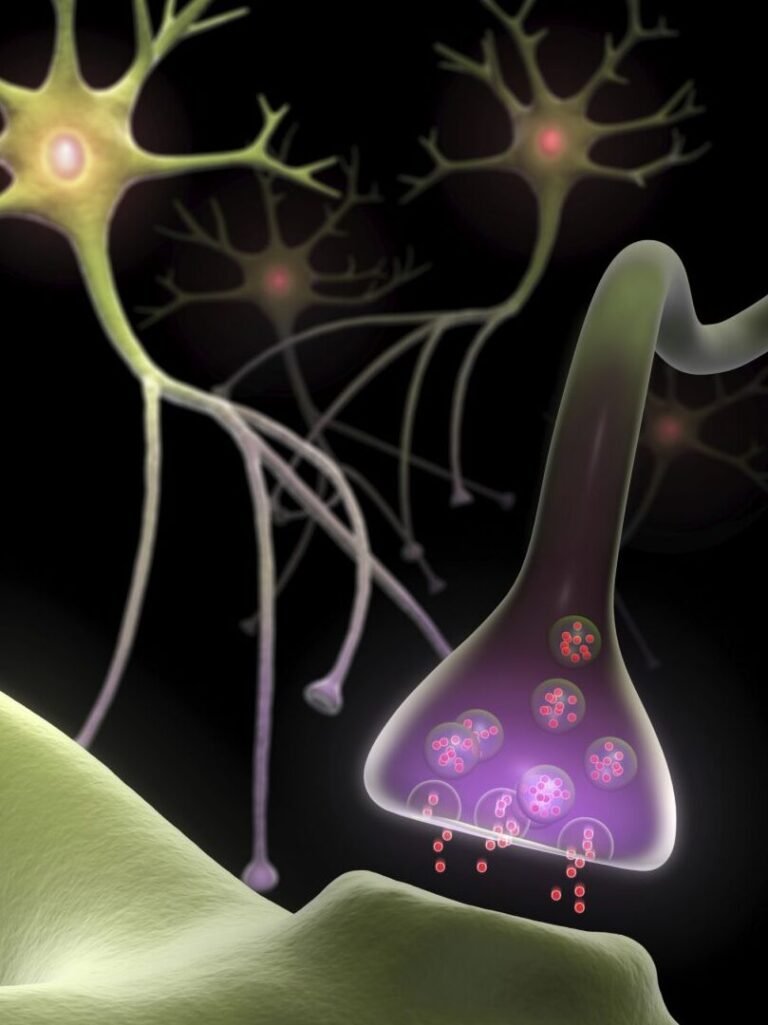 bioingenieria-para-la-regeneracion-de-nervios-perifericos