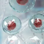 celulas-madre-mesenquimales-mitos-y-realidades-en-terapia