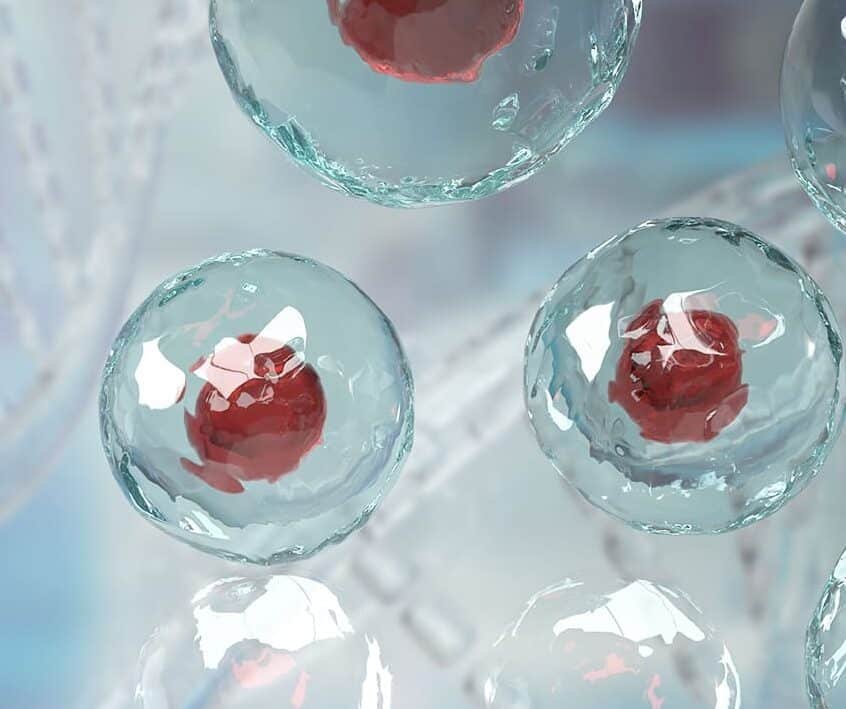 celulas-madre-mesenquimales-mitos-y-realidades-en-terapia