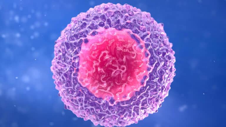 celulas-nk-natural-killer-editadas-para-tumores-solidos