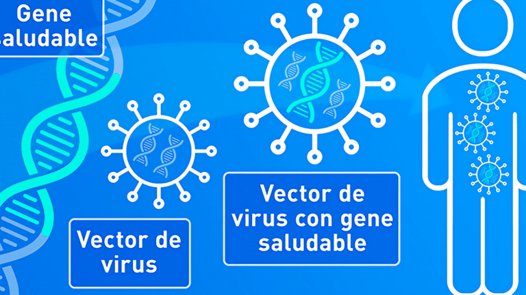 como-la-terapia-genica-podria-alargar-la-esperanza-de-vida