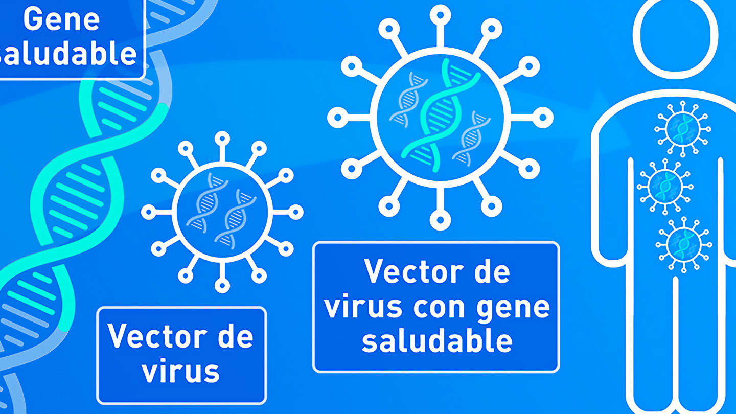 como-la-terapia-genica-podria-alargar-la-esperanza-de-vida