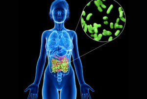 como-las-bacterias-intestinales-estan-revolucionando-los-nuevos-farmacos