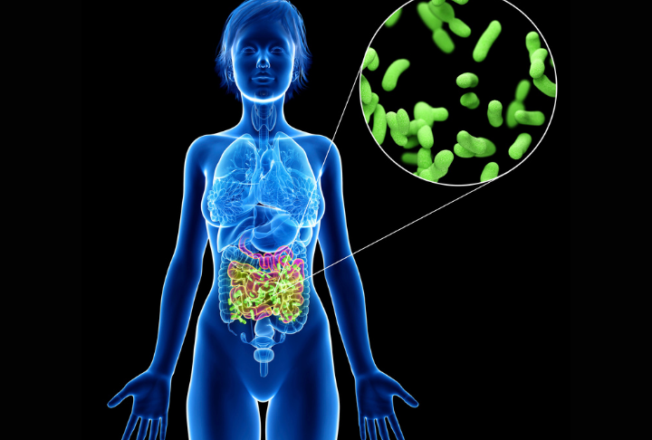 como-las-bacterias-intestinales-estan-revolucionando-los-nuevos-farmacos