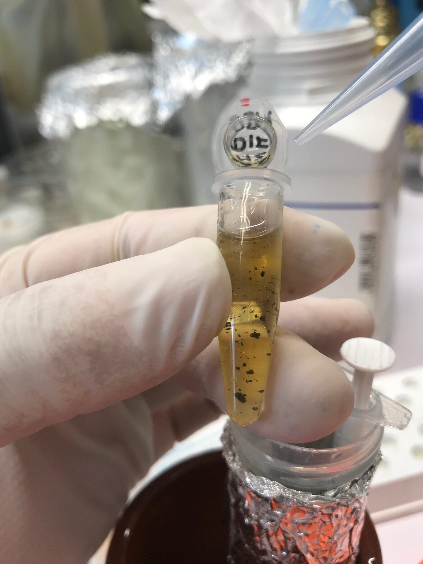 como-los-organoides-ayudan-a-probar-farmacos-sin-usar-animales