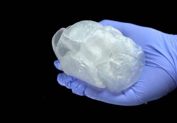 corazones-bioimpresos-en-3d-cuando-seran-una-realidad