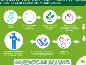 desarrollo-de-vacunas-comestibles-a-traves-de-plantas