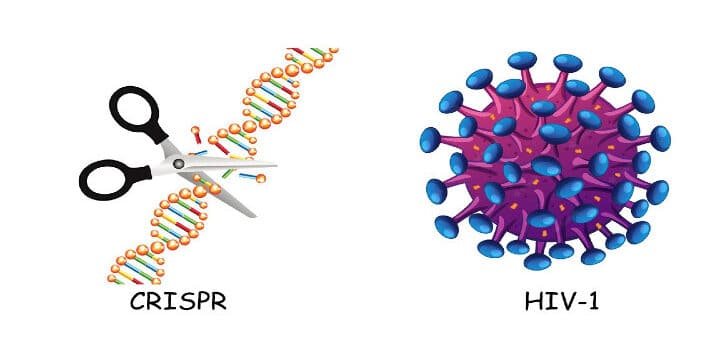 el-futuro-de-la-cura-del-vih-mediante-edicion-de-genes