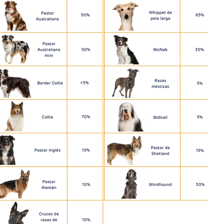 el-gen-mdr1-y-su-impacto-en-la-barrera-hematoencefalica
