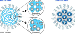 el-papel-de-los-lipidos-en-la-entrega-de-farmacos-complejos