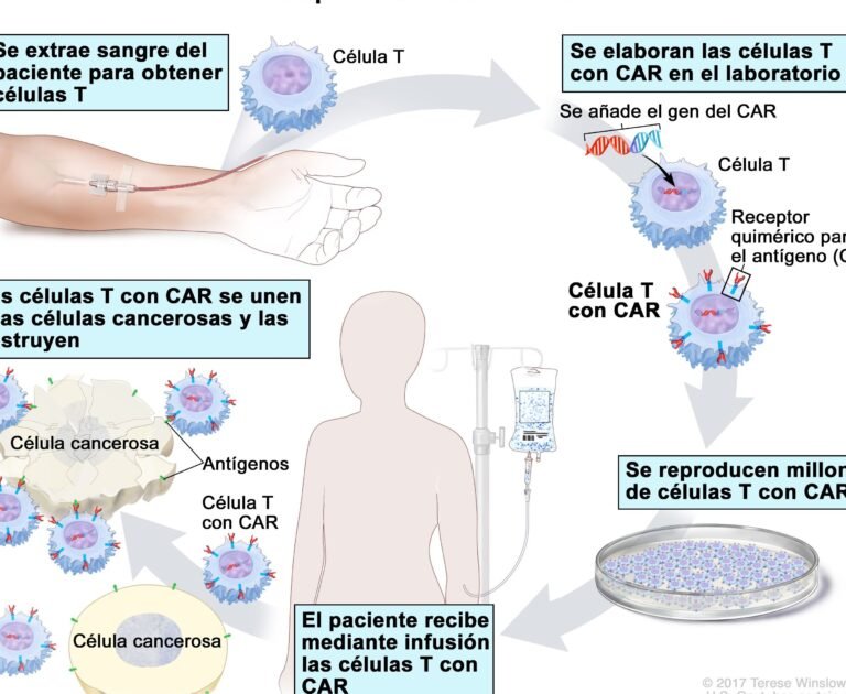 el-tratamiento-de-la-leucemia-con-celulas-car-t-de-nueva-generacion