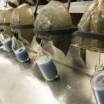 el-uso-de-la-sangre-del-cangrejo-herradura-en-la-seguridad-de-vacunas