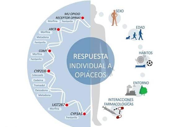 farmacogenomica-en-el-tratamiento-del-dolor-cronico