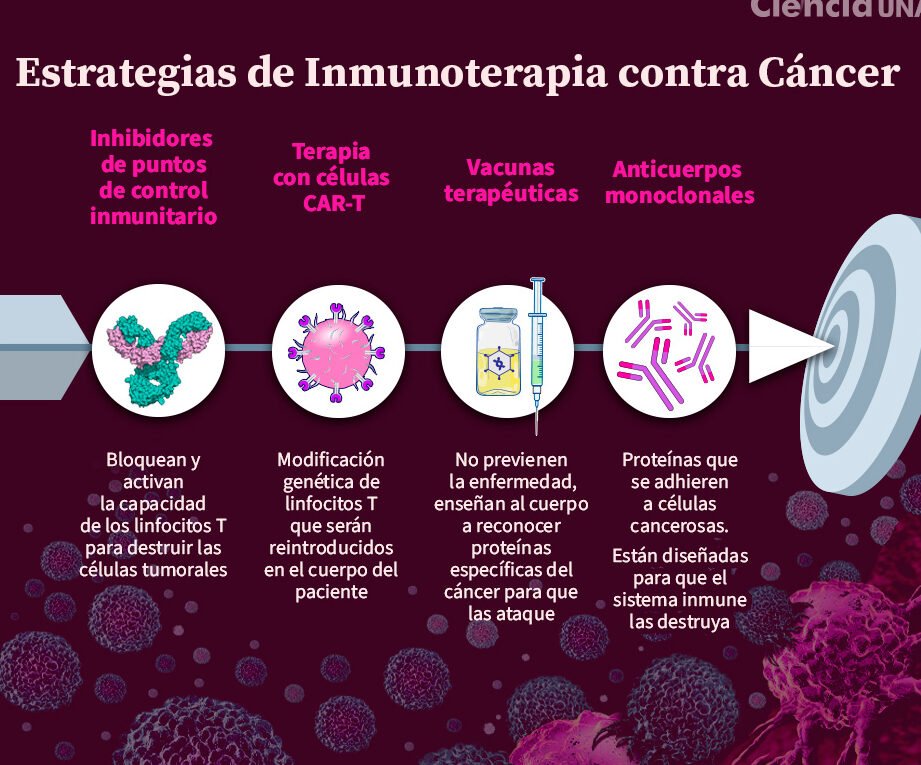 inmunoterapia-como-ensenar-al-cuerpo-a-atacar-celulas-malignas