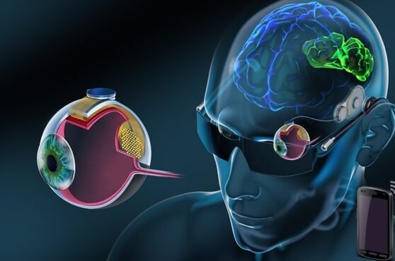 la-bioingenieria-detras-de-la-retina-artificial