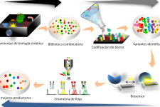 la-biologia-sintetica-y-la-creacion-de-nuevas-rutas-metabolicas
