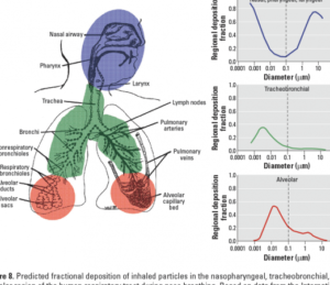 la-etica-y-seguridad-de-las-nanoparticulas-en-el-cuerpo-humano