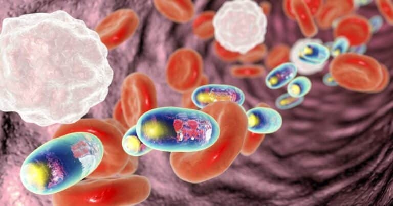 nanomedicina-para-cruzar-la-barrera-del-cerebro-un-hito-historico