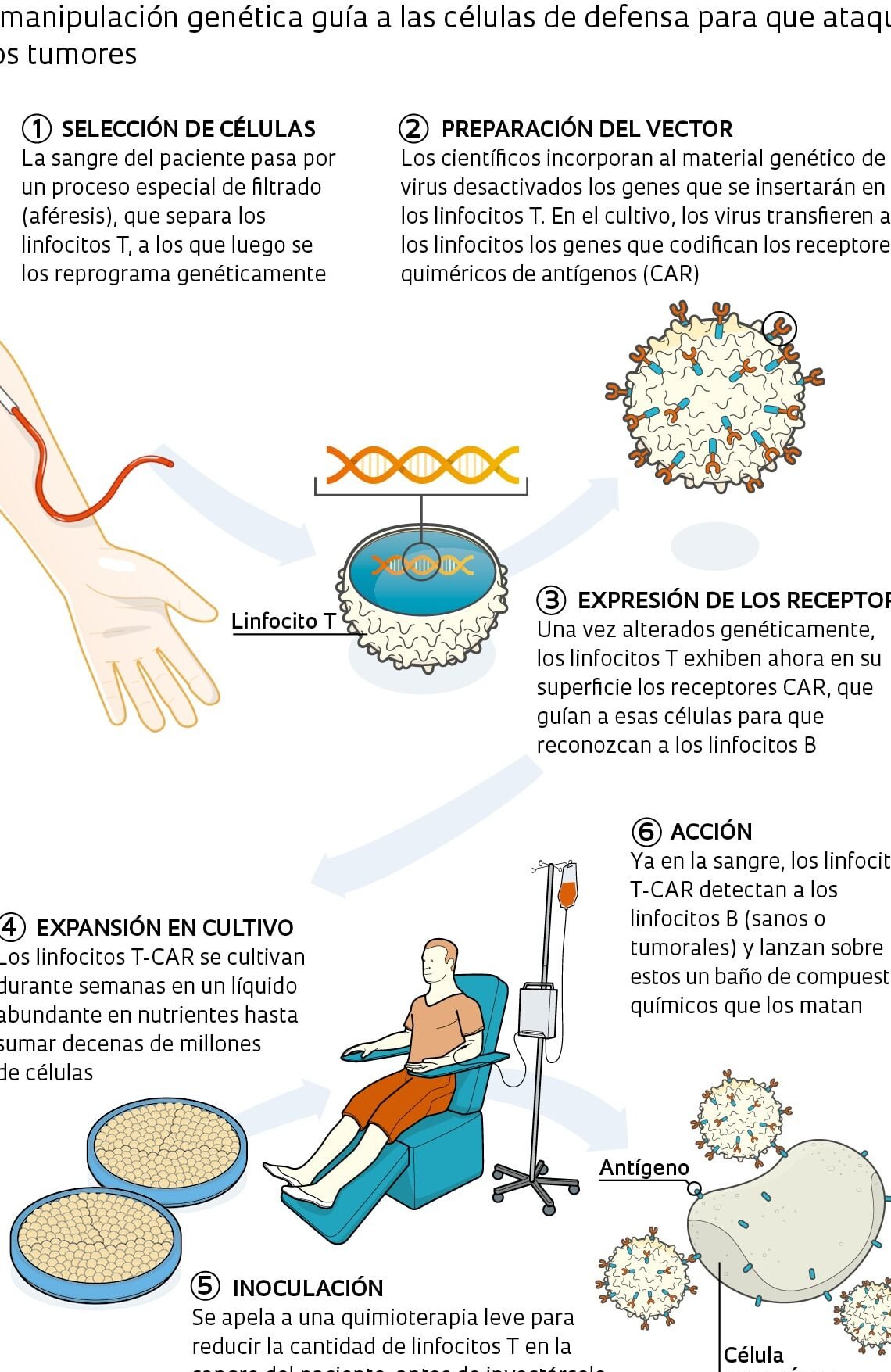 terapia-car-t-reprogramando-celulas-para-matar-el-cancer