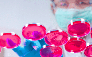 uso-de-celulas-de-insectos-para-la-produccion-masiva-de-proteinas-terapeuticas