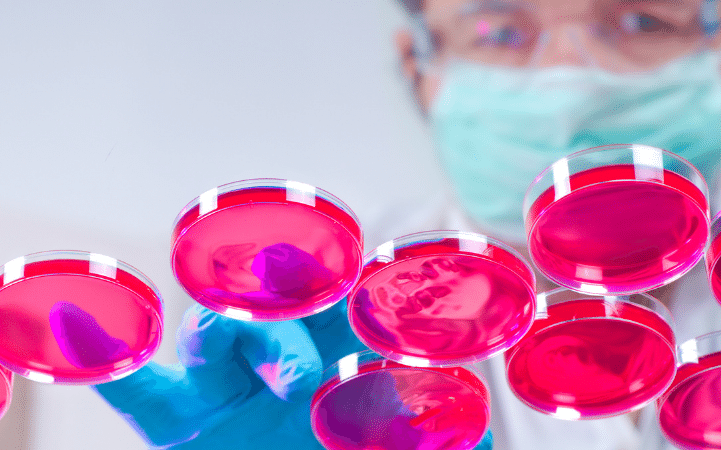 uso-de-celulas-de-insectos-para-la-produccion-masiva-de-proteinas-terapeuticas