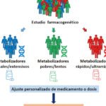 variabilidad-genetica-en-los-receptores-de-farmacos