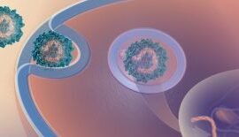 virus-adenoasociados-los-taxis-de-la-terapia-genica