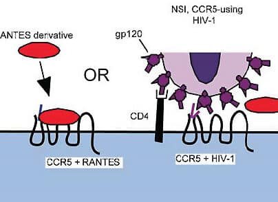 avances-en-la-cura-del-vih-mediante-trasplante-de-celulas-ccr5-delta-32