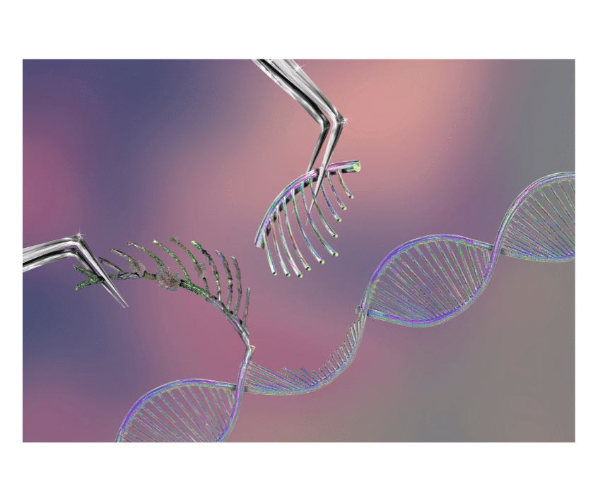 bioetica-deberiamos-editar-la-linea-germinal-humana