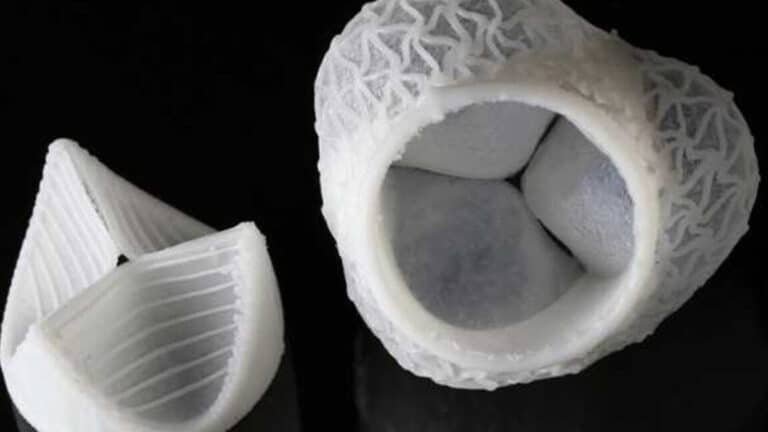 bioimpresion-de-valvulas-cardiacas-personalizadas-en-3d
