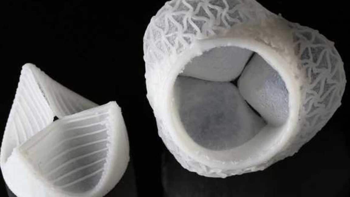 bioimpresion-de-valvulas-cardiacas-personalizadas-en-3d