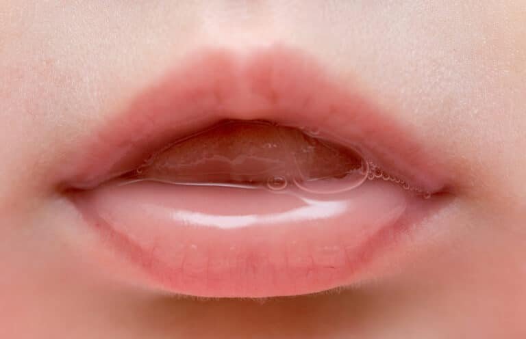 bioingenieria-de-glandulas-salivales-artificiales