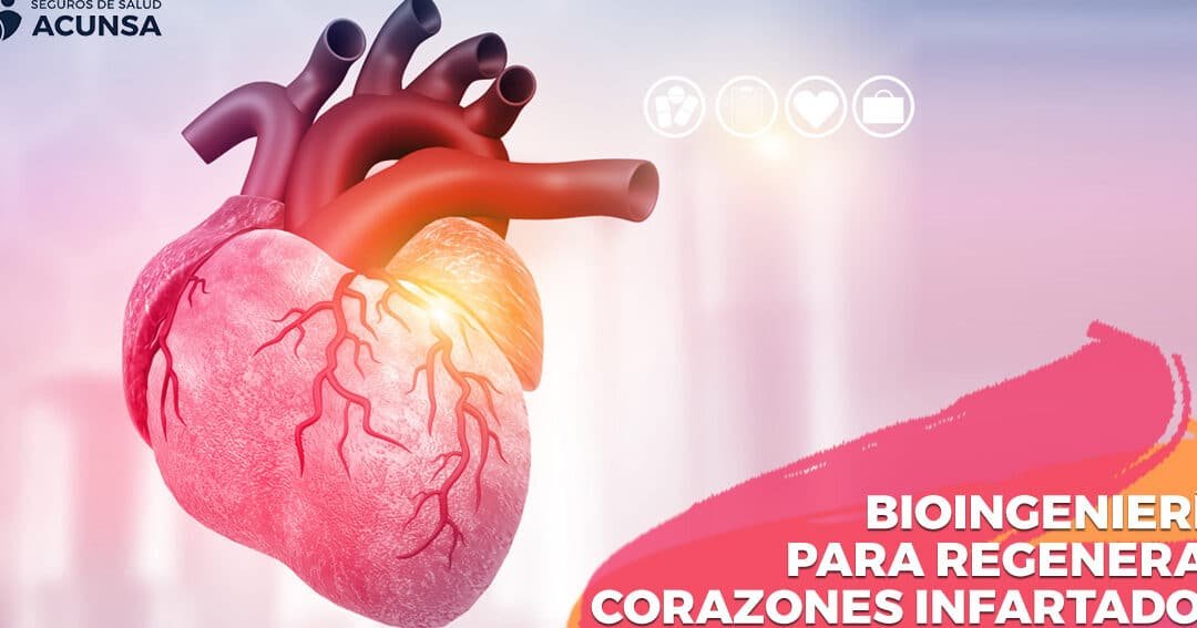 bioingenieria-de-tejido-cardiaco-pulsatil-para-reparacion-de-infartos