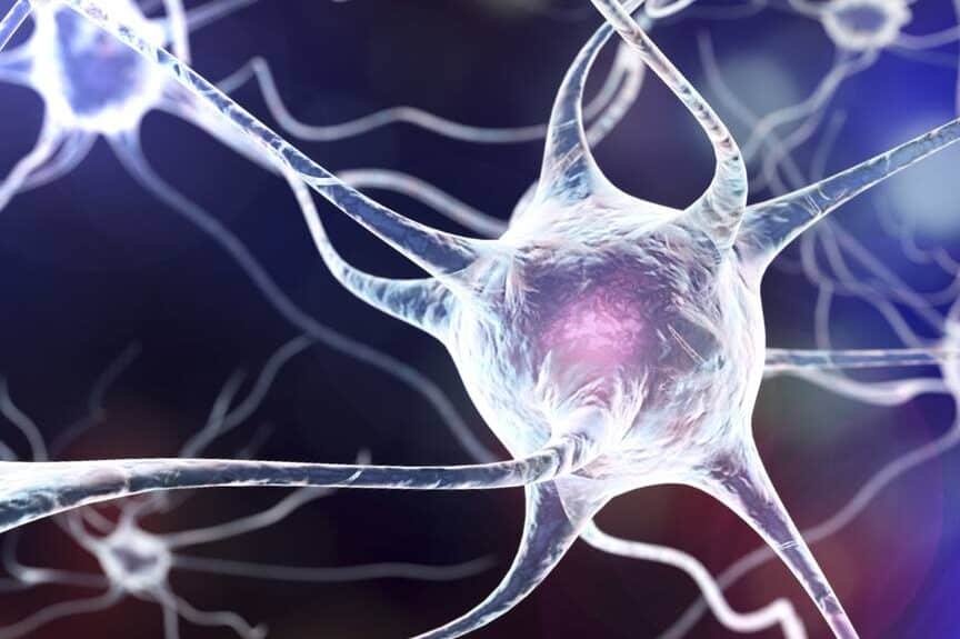 bioingenieria-de-tejido-nervioso-periferico