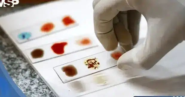 como-crispr-podria-crear-sangre-universal-o-negativo