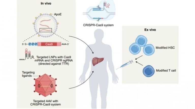 como-crispr-podria-eliminar-el-reservorio-del-vih