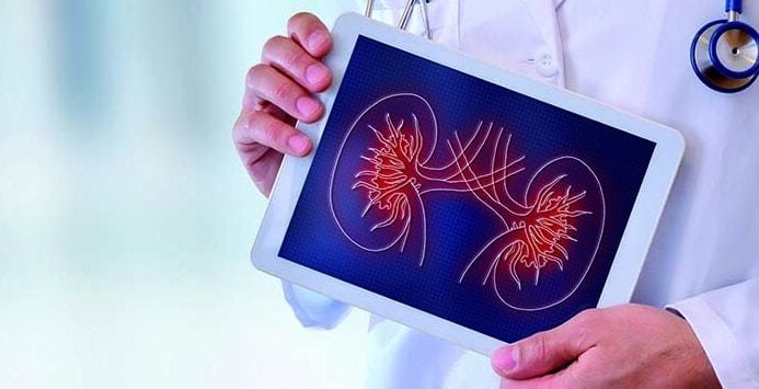 como-la-bioingenieria-aborda-la-insuficiencia-renal-cronica