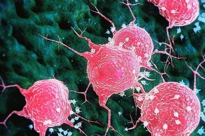 como-la-bioingenieria-crea-modelos-de-tumores-personalizados