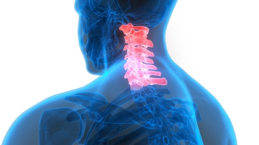 como-la-bioingenieria-repara-lesiones-de-la-medula-espinal