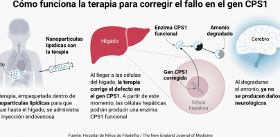 como-la-edicion-genetica-in-vivo-repara-el-higado