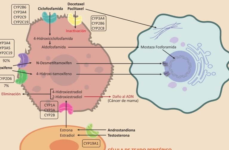 como-la-farmacogenomica-optimiza-el-tratamiento-con-tamoxifeno-en-cancer-de-mama
