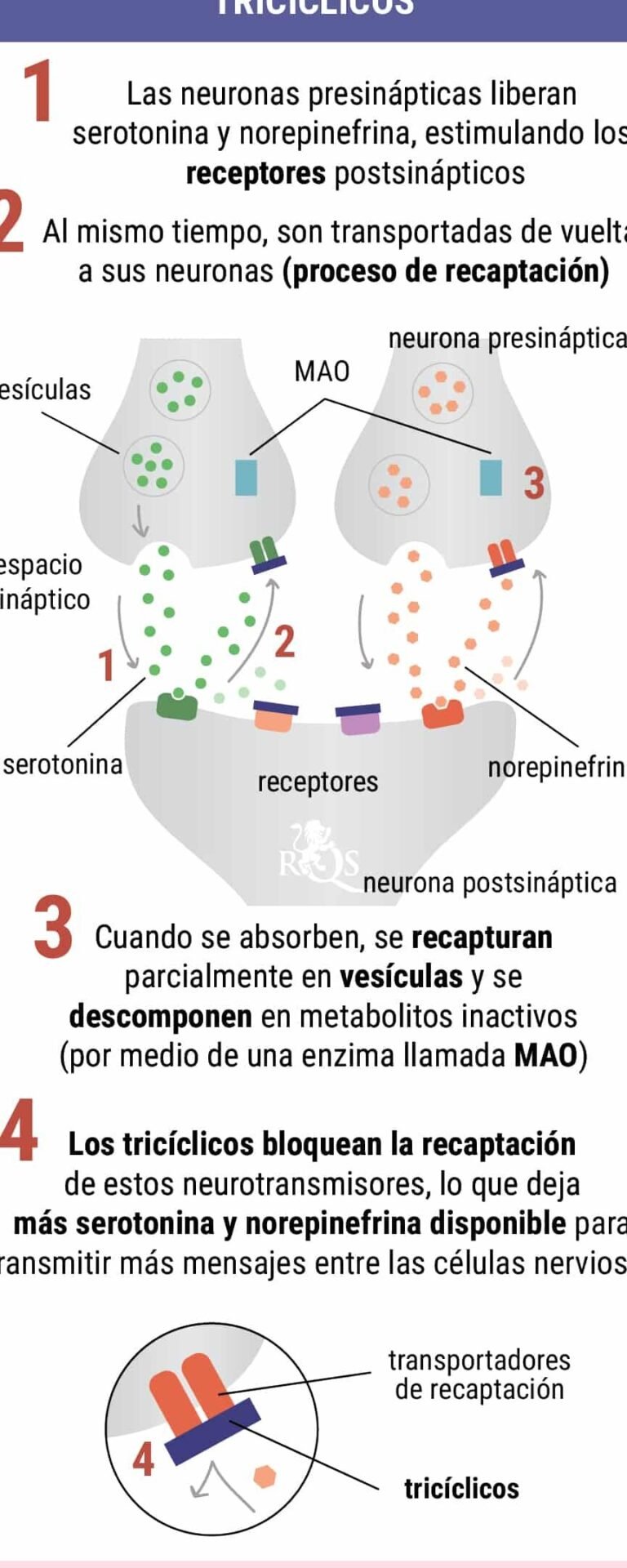 como-la-genetica-ayuda-a-elegir-el-mejor-antidepresivo-isrs