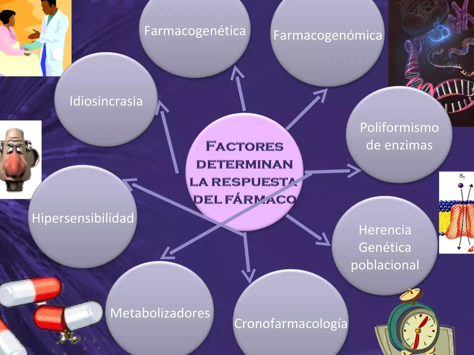 como-la-genetica-influye-en-la-respuesta-a-los-farmacos-antiemeticos