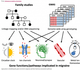 como-la-genetica-influye-en-la-respuesta-al-tratamiento-de-la-migrana